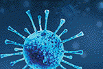 전염성 강한 코로나19 변종 NB.1.8.1, 미국서 확산 조짐