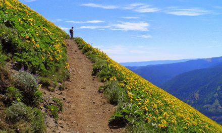 [오레곤산악회] 7월 3일 등반 일정/ Dog Mountain