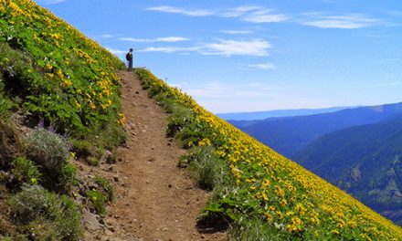 [오레곤산악회] 7월 3일 등반 일정/ Dog Mountain