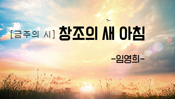 창조의 새 아침 -임영희-