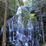 [허관택의 오레곤여행기] 숨겨진 명소 Ramona Falls
