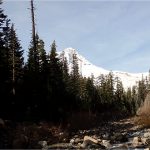 엘크 메도우 산행기