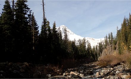 엘크 메도우 산행기
