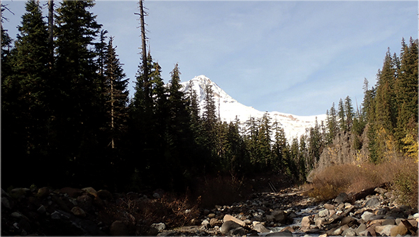 엘크 메도우 산행기